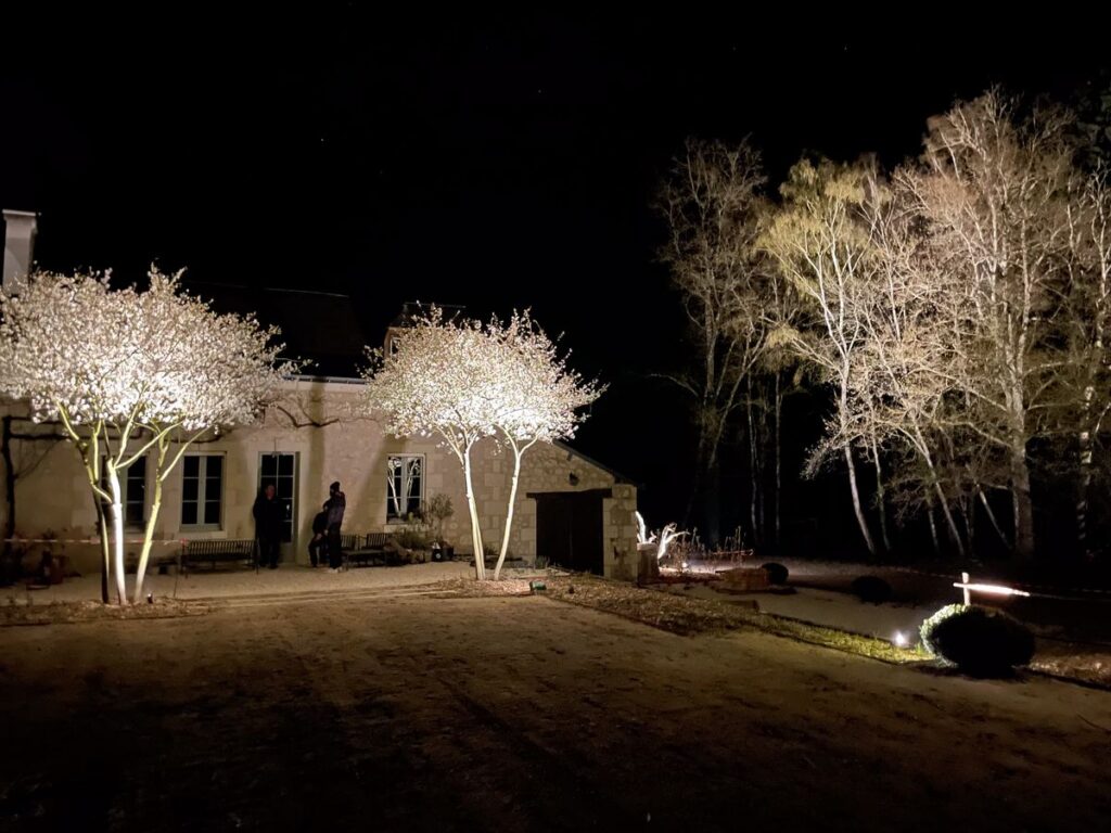 Amélanchiers en cépée en pleine floraison, éclairés de nuit devant une maison de tuffeau à Bourgueil