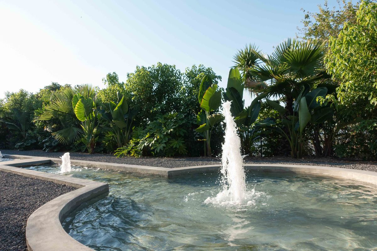 Jet d'eau du bassin circulaire devant un massif de palmiers, jardin à Nice